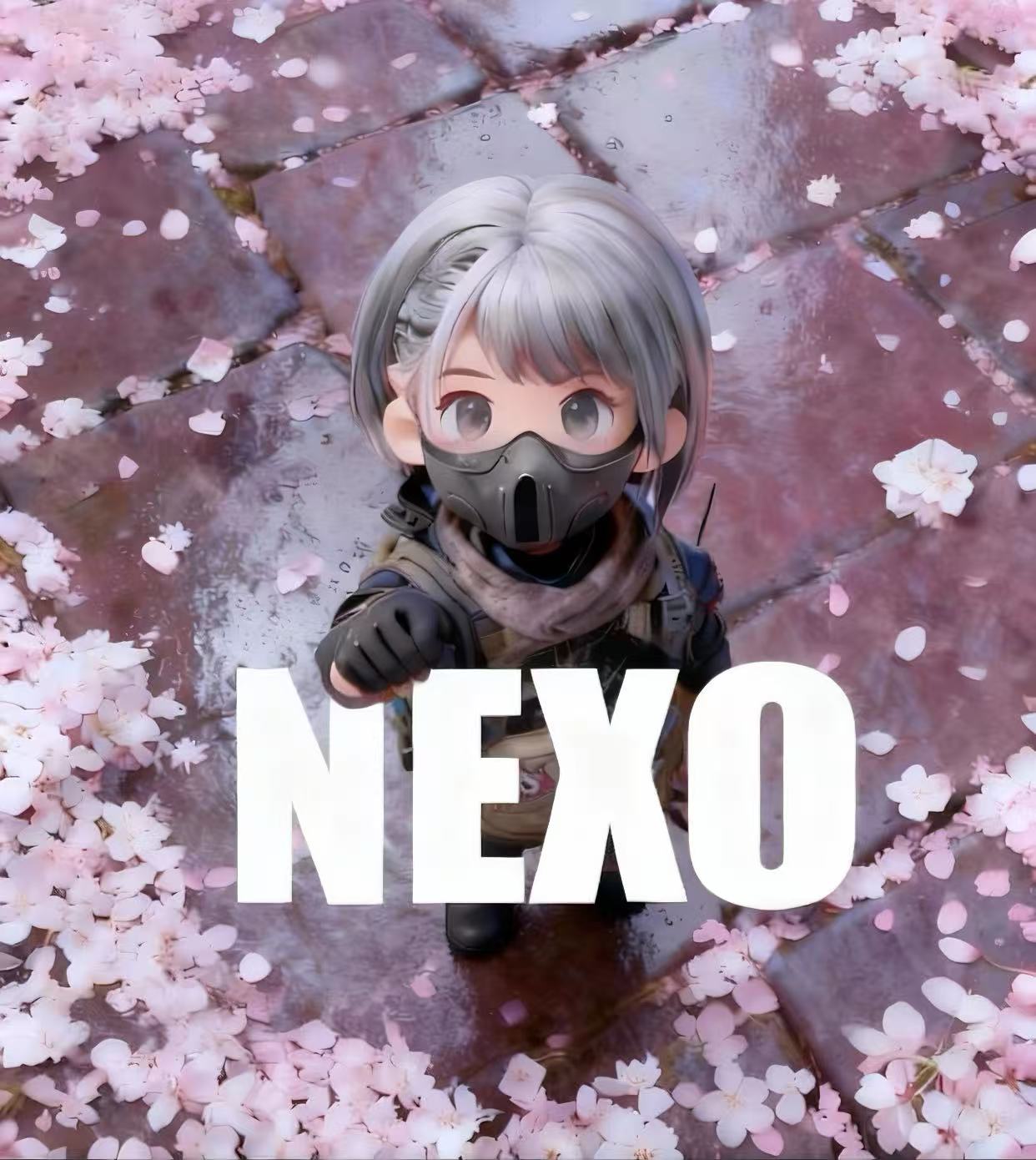 🔥NEXO_测试卡🔥到手一小时